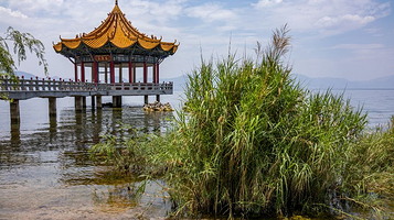 抚仙湖国家湿地公园