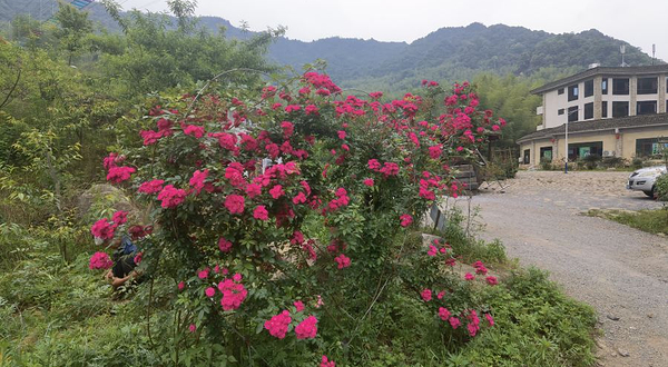 燕子岩风景区