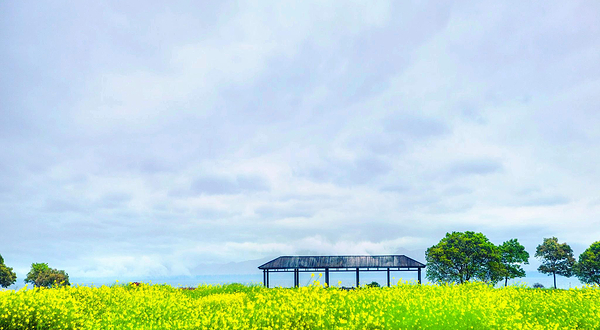 淀山湖风景区