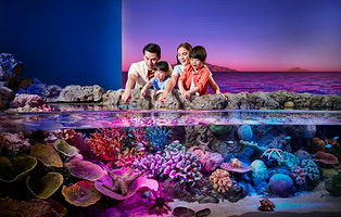 曼谷暹罗海洋世界