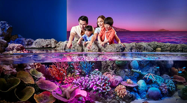 曼谷暹罗海洋世界