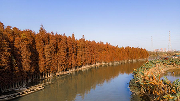 明孝陵景区-燕雀湖风景区