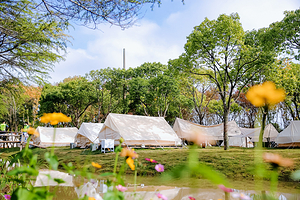 上海卡梅拉亲子营地