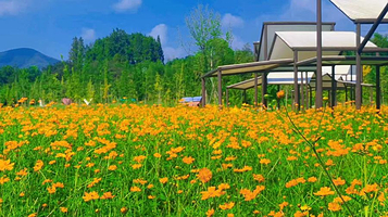 太极五色谷景区