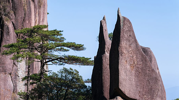 三清山-企鹅献桃