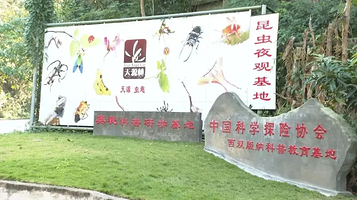 天源虫趣科普研学艺术馆