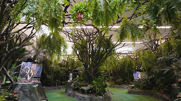 穿越亚马逊雨林馆