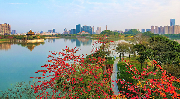 顺峰山公园