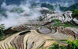云上梯田景区