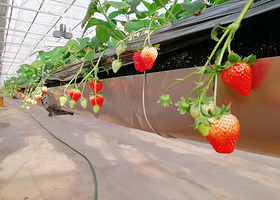 汇源生态农业园区