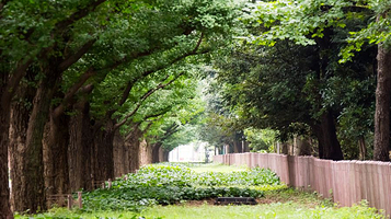 寺外桃源旅游景区