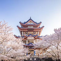 无锡市太湖鼋头渚风景区