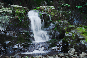 千岛湖红山谷景区