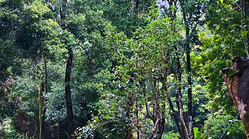 宁德南山漈风景区