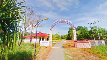 威士顿红树林生态区