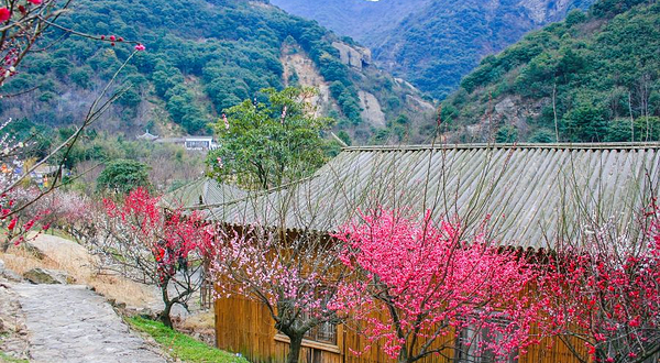 宁波九峰山景区