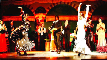 塞维利亚El Palacio Andaluz弗拉明戈表演
