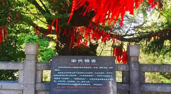 紫溪山风景区