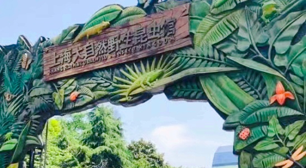 上海大自然野生昆虫馆