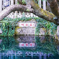 蝴蝶泉