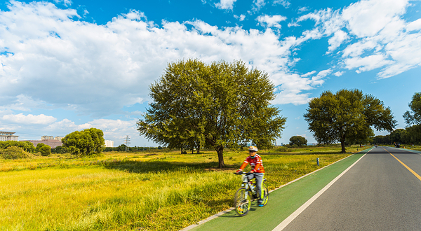 赛汗塔拉城中草原