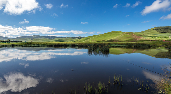 塞罕坝国家森林公园