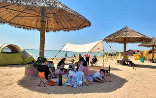 南海湿地景区-黄金沙滩