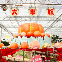 五彩田园农业嘉年华