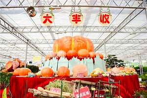 五彩田园农业嘉年华