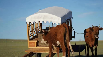 希拉穆仁草原牧家乐马场