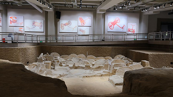 三门峡市虢国博物馆