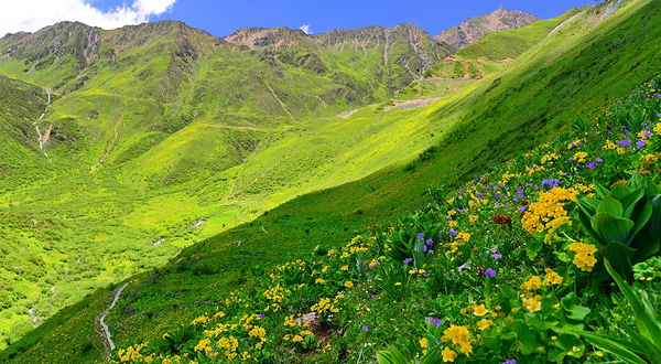 巴朗山