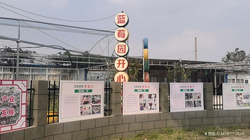 蓝莓园开心农庄
