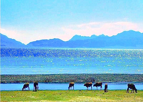 乌伦古湖国家湿地公园