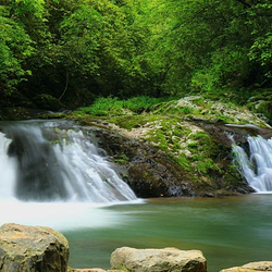黄桑国家级自然保护区