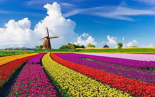 金昌花文化博览馆