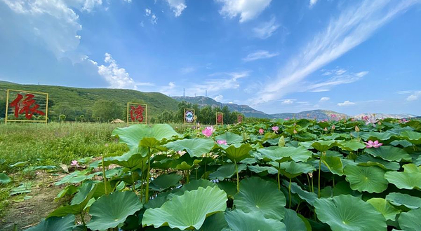 依湾农家风景区