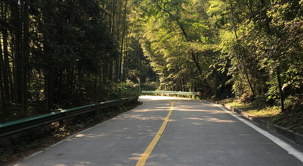 中央森林公园(长安南路)