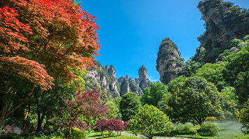 张家界国家森林公园-大氧吧广场