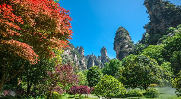 张家界国家森林公园-大氧吧广场
