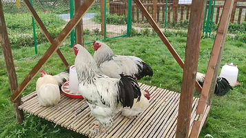 香蜗蜗自然乐园