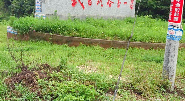武当峡谷第一漂