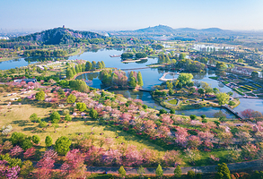 上海辰山植物园