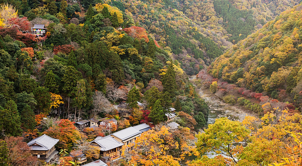 嵯峨野