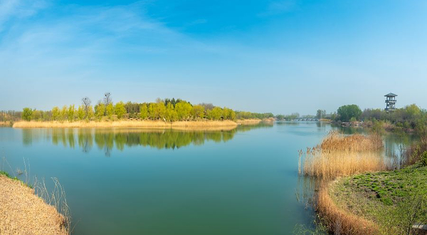 汶上莲花湖湿地景区