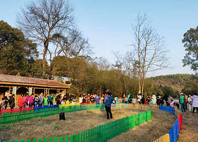 萤乡农场·牧歌滩尾