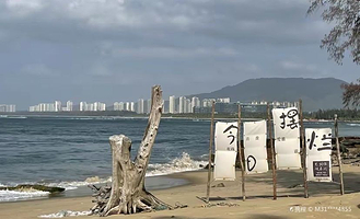 南波湾海洋生态乐园