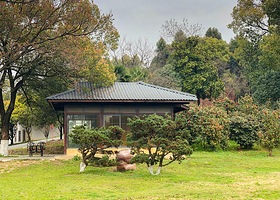 马鞍山森林公园
