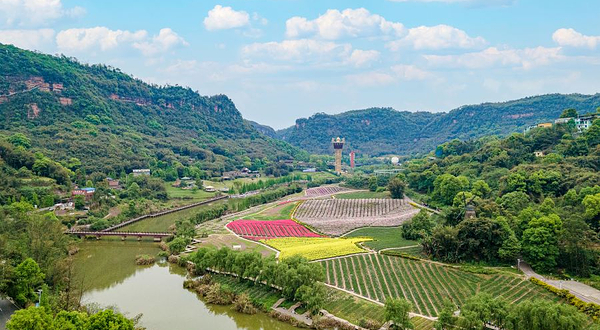 清溪谷旅游区•花田酒地景区