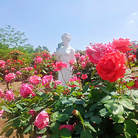贡之源·花仙谷